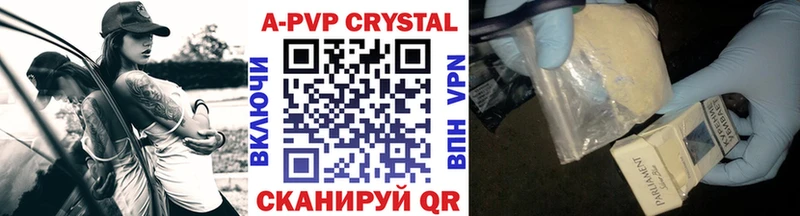 A-PVP СК  Ярославль 