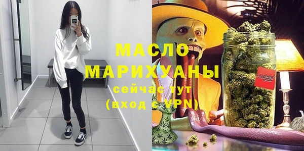 mix Богородицк