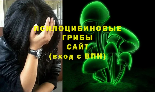 мдма Богданович
