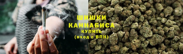 mix Богородицк