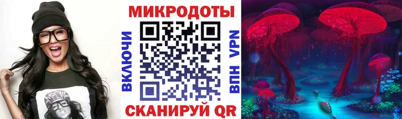 Псилоцибиновые грибы Psilocybe  мега онион  Ярославль 